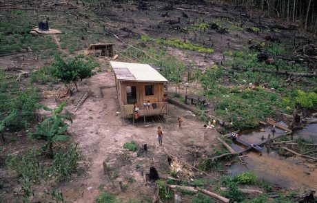Nova okoljska katastrofa: Krčenje gozdov v brazilskem amazonskem pragozdu je doseglo najvišjo raven v zadnjih več kot 15 letih
