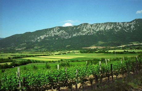 Prihaja vinski vlak: Vipavska dolina bo na izviren način promovirala vipavske vinarje, njihova vina in lokalno kulinariko