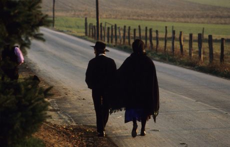 Amiši z gensko mutacijo živijo deset let dlje