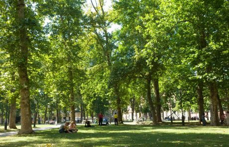 Ljubljana znova prepoznana kot svetovno mesto dreves