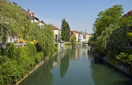 V Ljubljanici našli neznano moško truplo