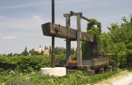 Največja vinska klet v Sloveniji bo gradila na prepoznavnosti