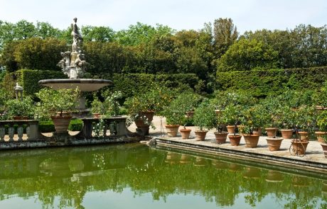 Gucci bo daroval 2 milijona evrov za obnovo znamenitih vrtov v Firencah, ki jih je pošteno načel zob časa