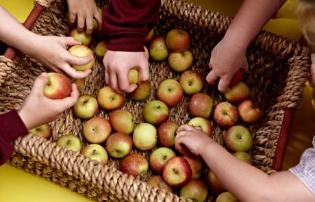 Evropska komisija Sloveniji namenila milijon evrov za zdravo prehranjevanje otrok v šolah