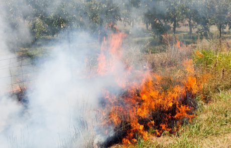 Na Krasu velika požarna ogroženost naravnega okolja