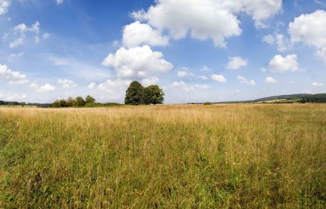 Vreme: Jasno in toplo bo