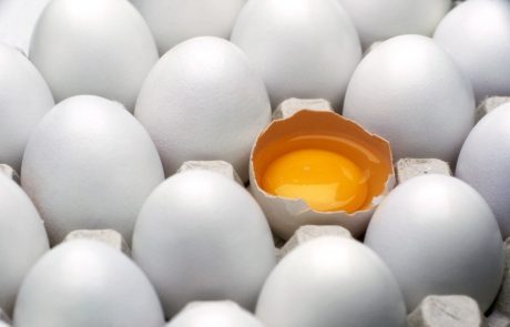 Belgija bo zaradi afere z jajci zahtevala odškodnino