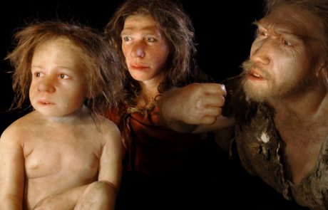 Znanstveniki imajo novo teorijo glede izumrtja neandertalcev