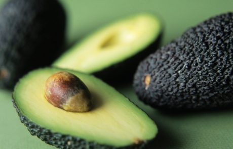 Mehika se sooča z “avokadovo krizo”: Avokado je postal luksuz!
