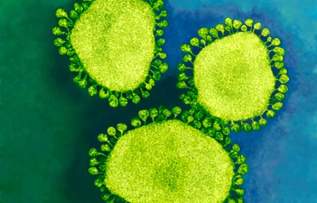 Prvi korak k zdravljenju ali preprečevanju covid-19: Na Nizozemskem odkrili človeški tip protiteles