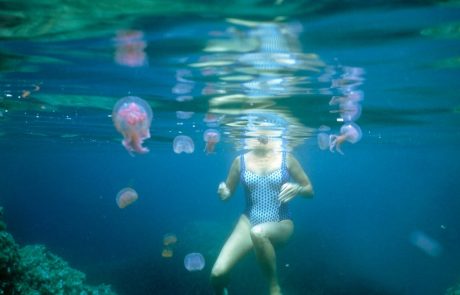 SOS poletje: Ob piku strupenih morskih živali pomaga vroča voda