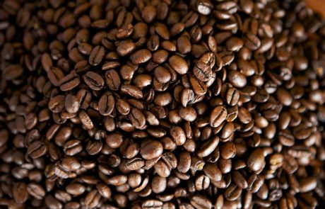 Podnebne spremembe ogrožajo proizvajanje kave v Latinski Ameriki
