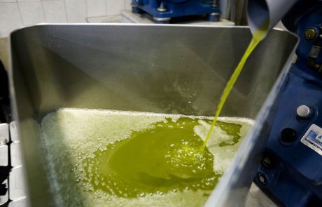 Izolski oljkar je izumil nov način pridelave olivnega olja