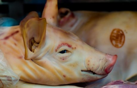 Hrvati si ne upajo jesti mesa zaradi strahu pred salmonelo