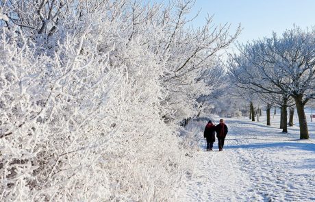 Zgodnja zima se nadaljuje: Vremenoslovci napovedujejo sneg do nižin