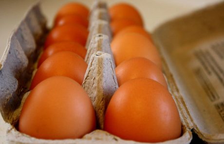 Peticija za odpravo jajc baterijske reje s skoraj 7000 podpisi, Jata Emona: Tip reje kokoši v ničemer ne vpliva na hranilno vrednost jajc