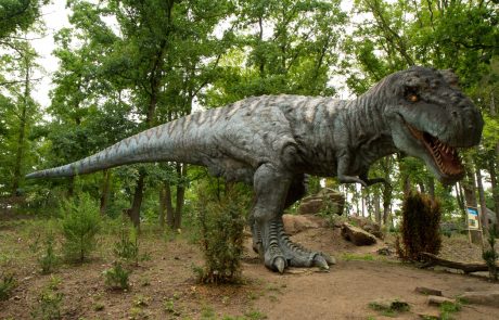 Znanstveniki prišli do nenavadne ugotovitve glede tiranozavrov