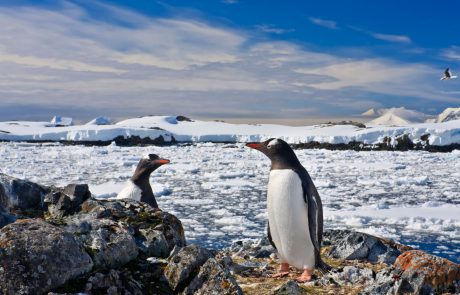 Na Antarktiki izmerili poletnih 20,75 stopinj Celzija