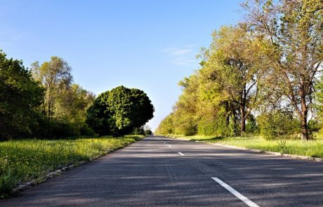 Vreme: Ponoči in zjutraj bo pretežno jasno