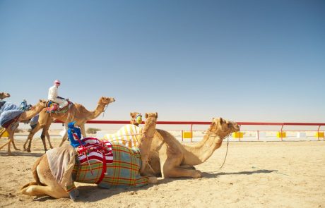 V Katarju so davi izmerili najnižjo temperaturo v zgodovini države