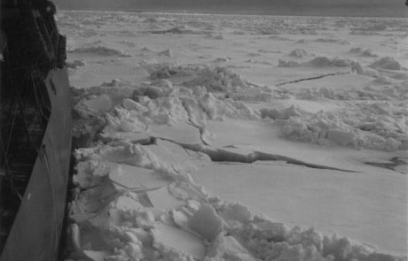 Na Antarktiki vsako leto manjša ledena površina