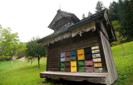 V vatikanskih vrtovih bo od sedaj stal slovenski čebelnjak