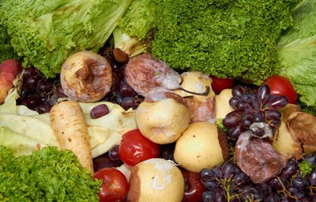 Slovenci v 2016 povprečno zavrgli 74 kilogramov hrane na osebo
