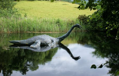 Igralec je prepričan, da je videl Nessie iz jezera Loch Ness