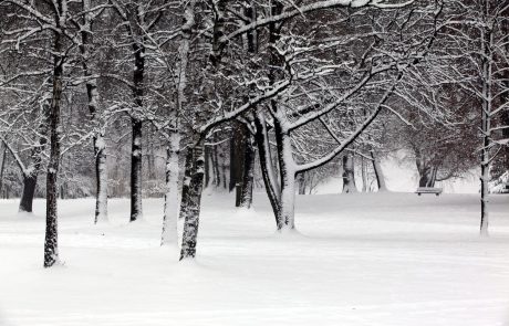 Na Primorskem promet spet ovira močno sneženje