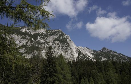 V Julijskih Alpah se je danes smrtno ponesrečil planinec