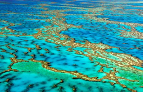 Avstralcem je uspelo izračunati vrednost Velikega koralnega grebena in znesek jim je dal misliti…