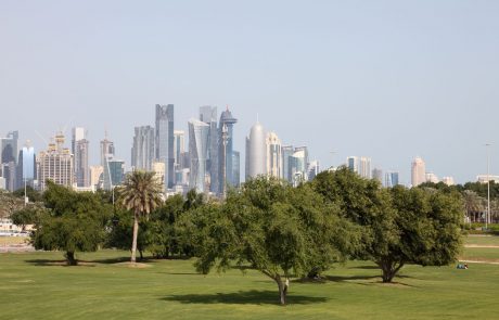 Puščavski Katar bo za nogometni SP posadil 16.000 dreves