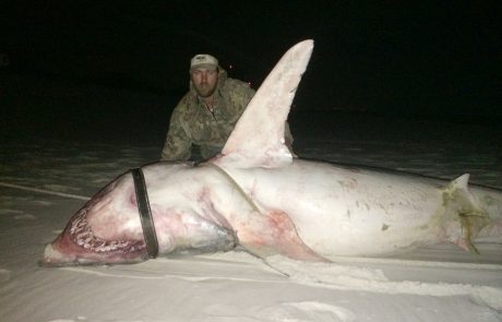 FOTO: Ribič ujel orjaškega morskega psa in podrl rekord!
