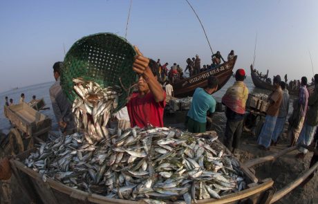 Več milijonov ljudi si ne bo moglo več privoščiti rib, ki so zdaj njihov glavni vir prehranjevanja