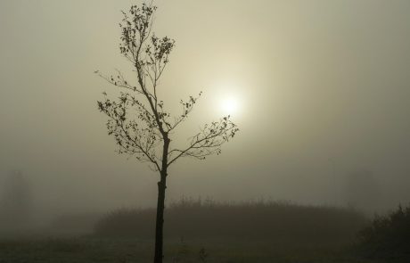 Vreme: Jasno z jutranjo meglo