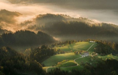 Slovenija na Zelenem tednu v Berlinu predstavlja družinske turistične kmetije