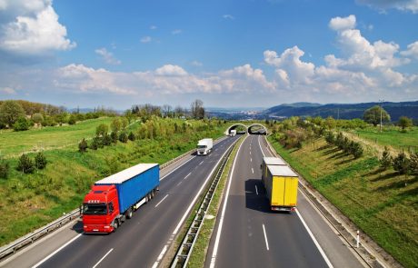 Zelo prometno avstrijsko avtocesto blokiral nenavaden tovor