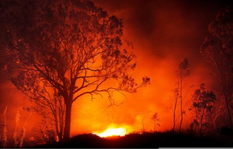 Obsežni gozdni požari v Avstraliji uničili že več domov
