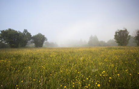 Vreme: Ponoči v notranjosti Slovenije posamezne plohe in nevihte, v četrtek deloma sončno