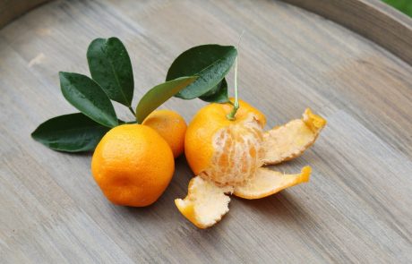 Mandarina in klementina – v čem je razlika med sadežema?