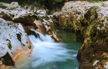 Slovenija uvrščena med 10 najboljših na svetu