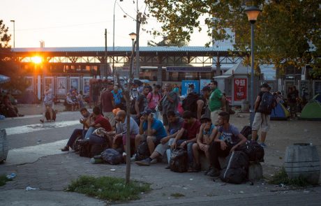 V Slovenijo prispela nova skupina beguncev iz Grčije