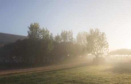 Vreme: Ponoči bo jasno, proti jutru ponekod megleno