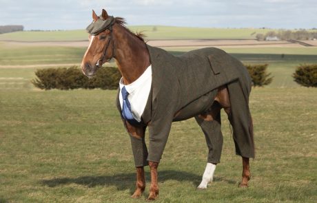 Konj, ki je oblečen bolje od večine ljudi