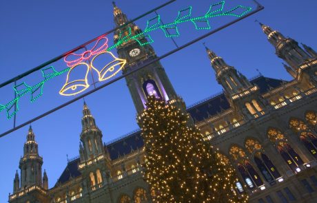 Na Dunaju zbirajo odslužena božična drevesca za gretje in elektriko