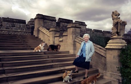 Britanci ponoreli za pasmo psov, ki je bila najbolj pri srcu pokojni kraljici. Cena? Od 2.800 evrov dalje!