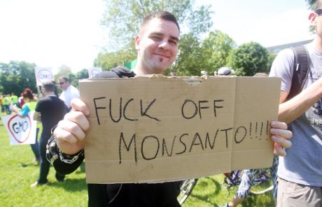 Bayer zatrjuje: ”V Evropi ne bomo prodajali Monsantovih gensko spremenjenih semen”