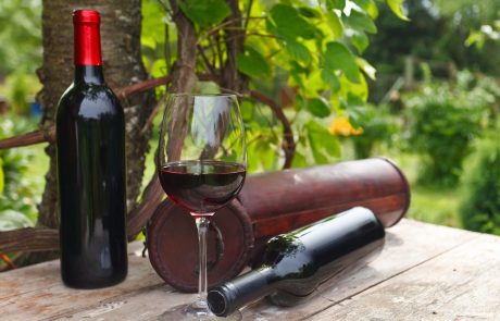 Evropski komisar slovenskim vinarjem obljubil pomoč pri promociji terana