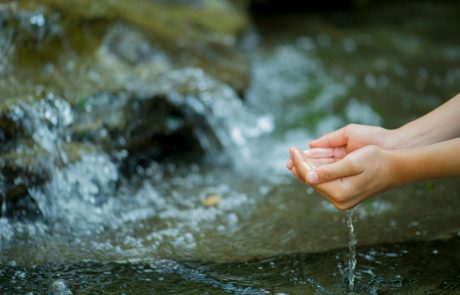 V Sloveniji voda prvič potrjena kot možen vir okužbe z zajčjo mrzlico