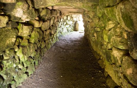 V Brežicah odkrili grob keltskega bojevnika z bojnim vozom